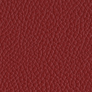 attribute_elija-color-de-piel