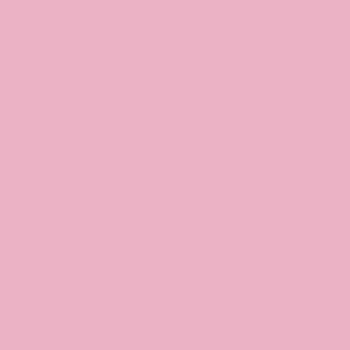 attribute_colores