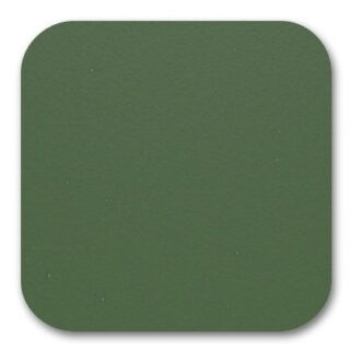 attribute_elija-color-del-asiento