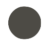attribute_elija-color-borde